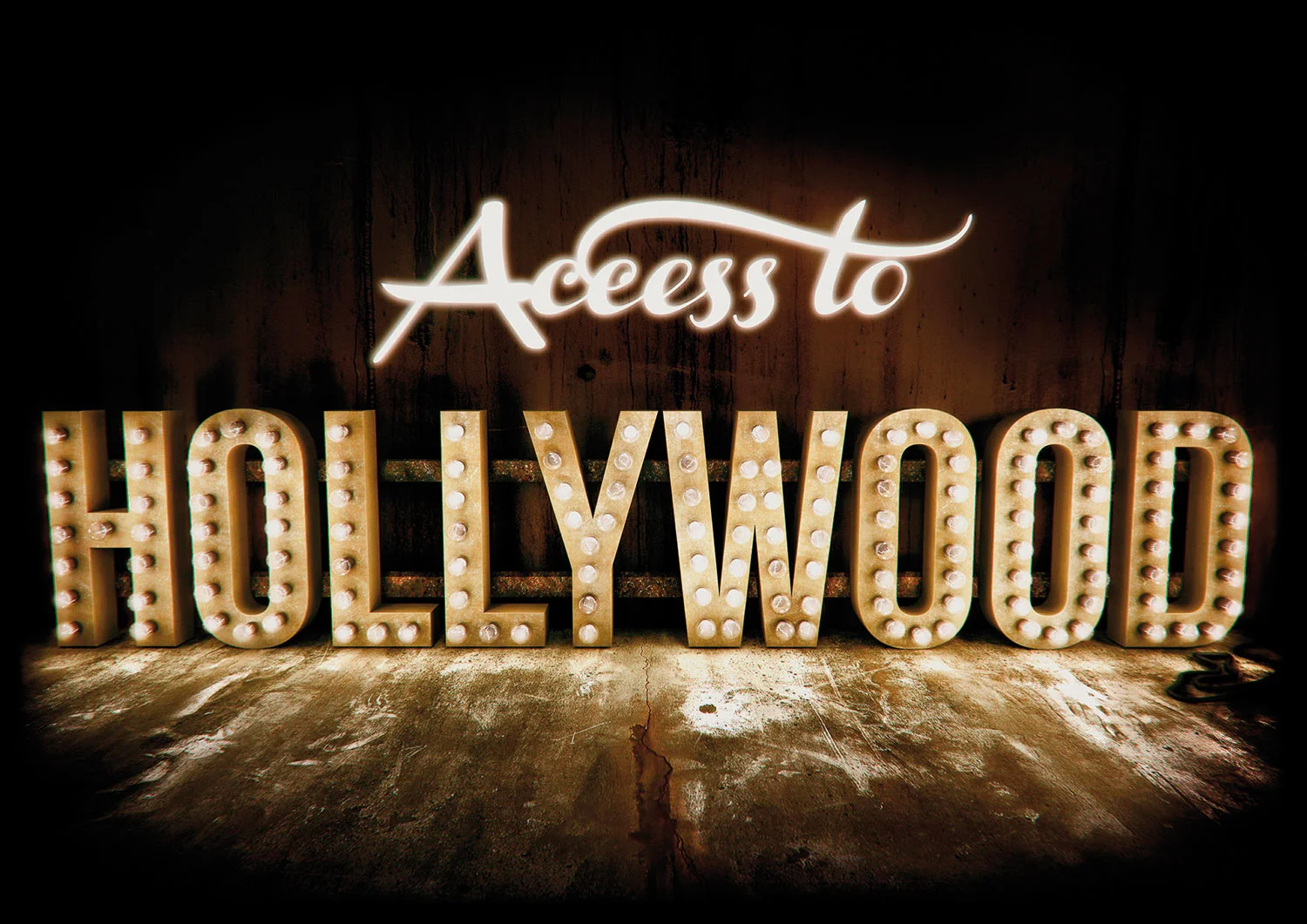 Hollywood_2011_Realcamera_lowres.jpg