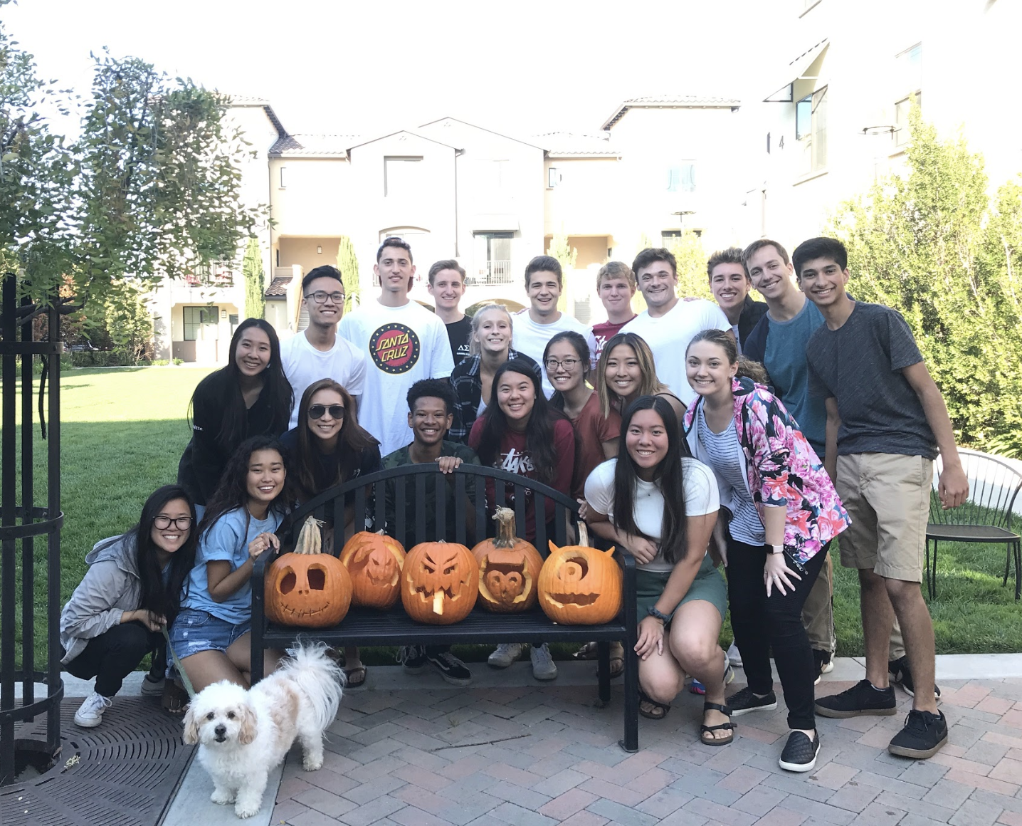 Big-Little Bonding