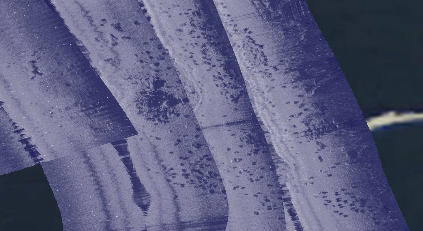 Tire Reef Survey