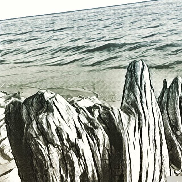 Digital Illustration of Lake Michigan and drift wood based on a photo I shot in Muskegon, MI