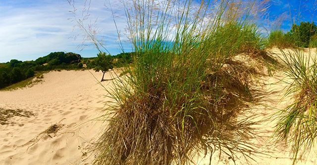 On the dunes