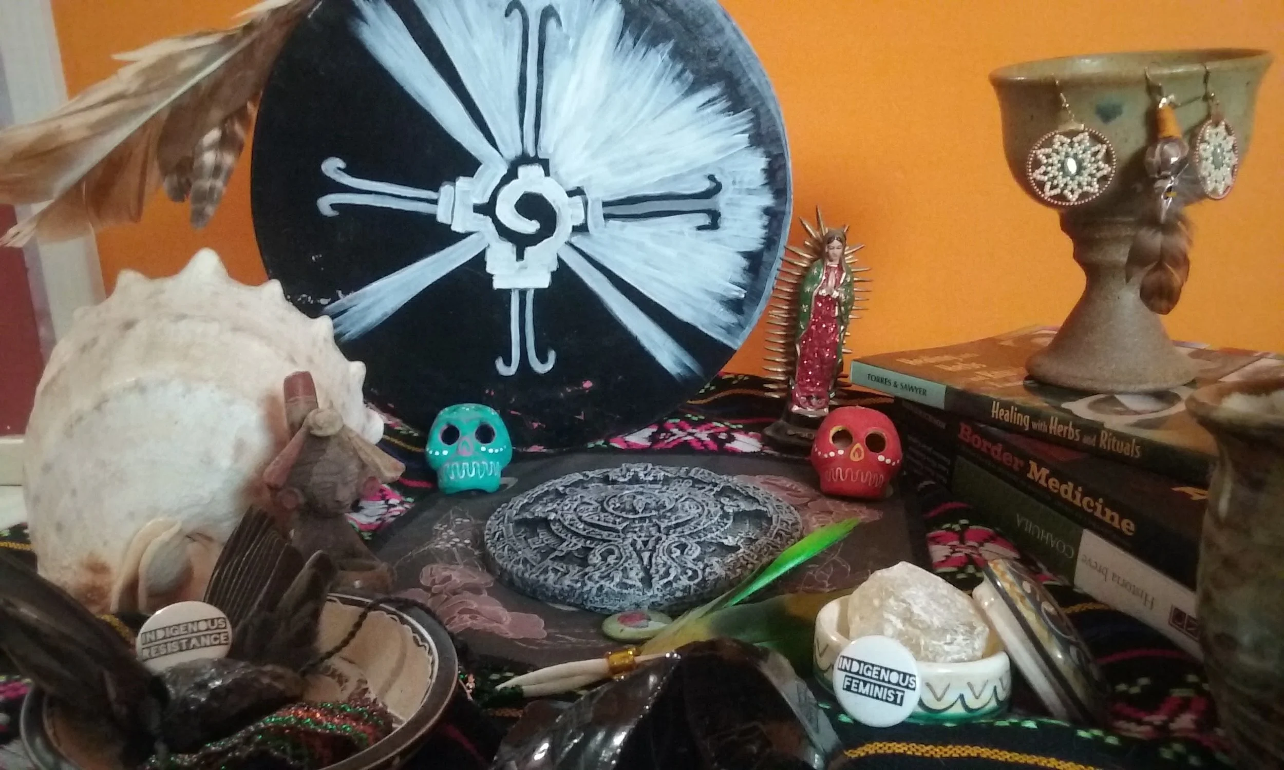 indigenous resistance (1).jpg