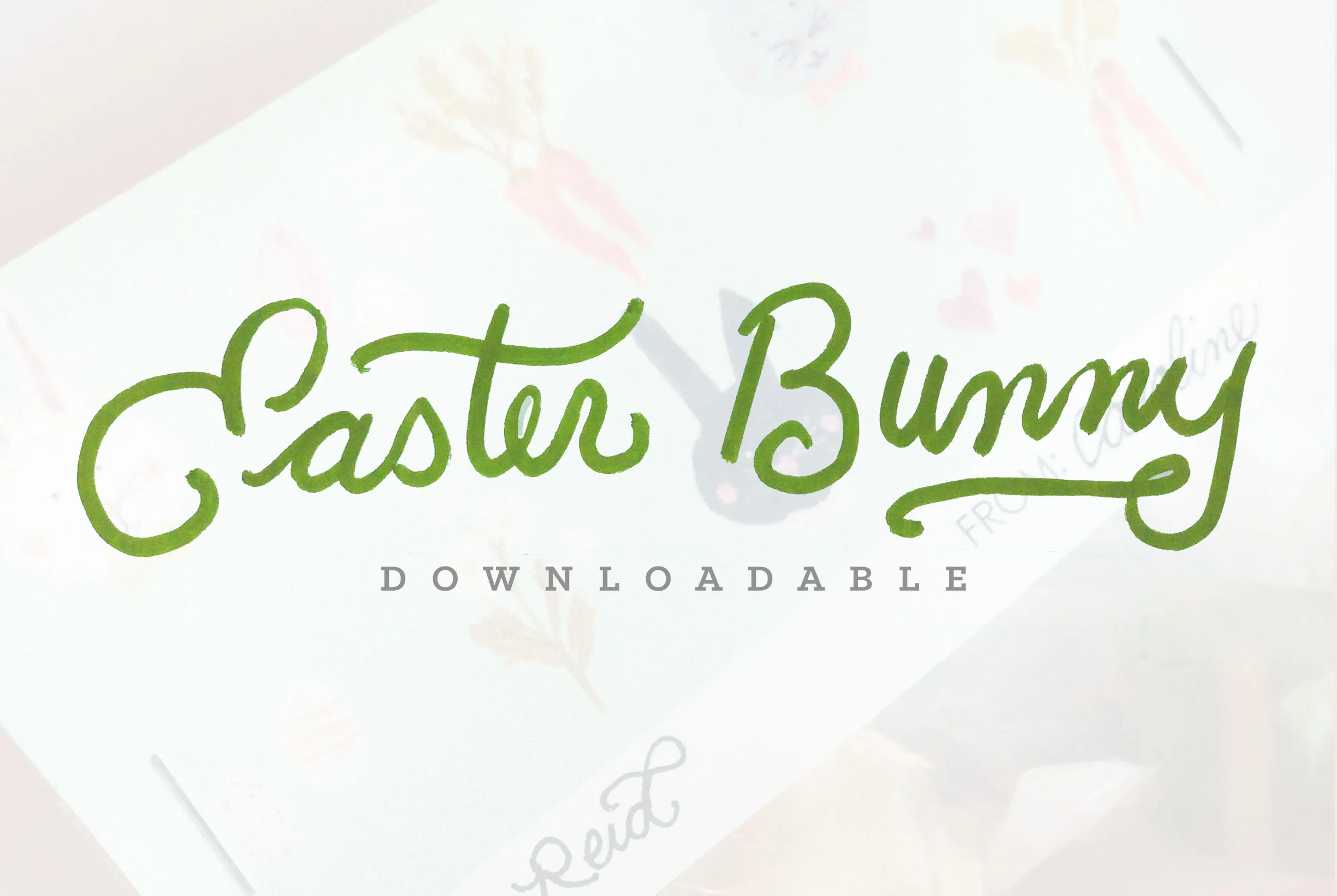 Bunny03.jpg