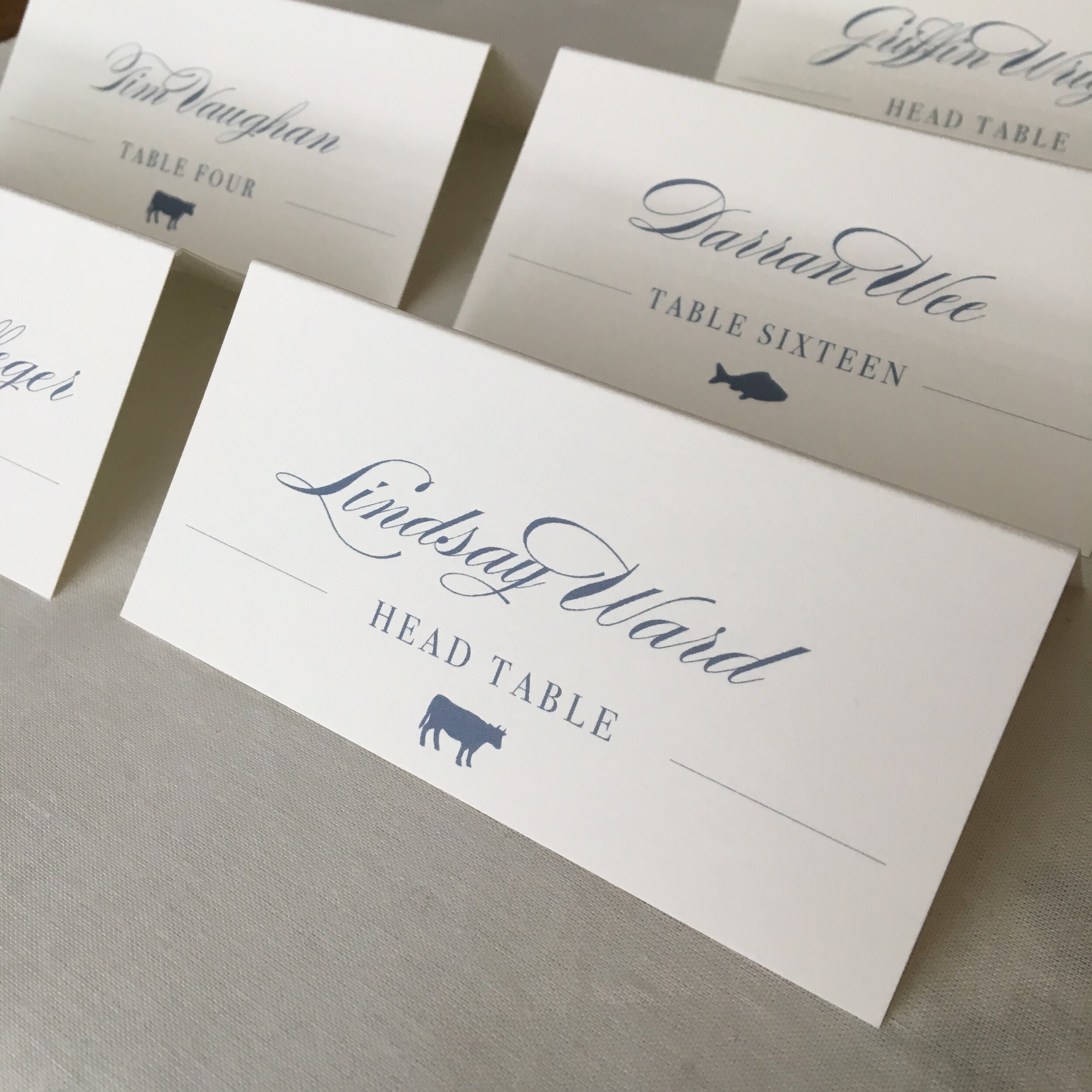 Professional Calligraphy Place Cards on High Quality Crane Paper