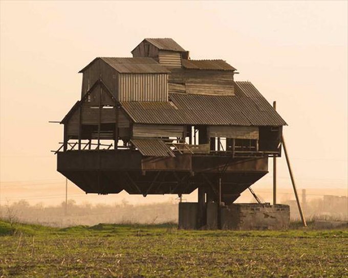 Image courtesy http://naturalsurroundings.blogspot.com