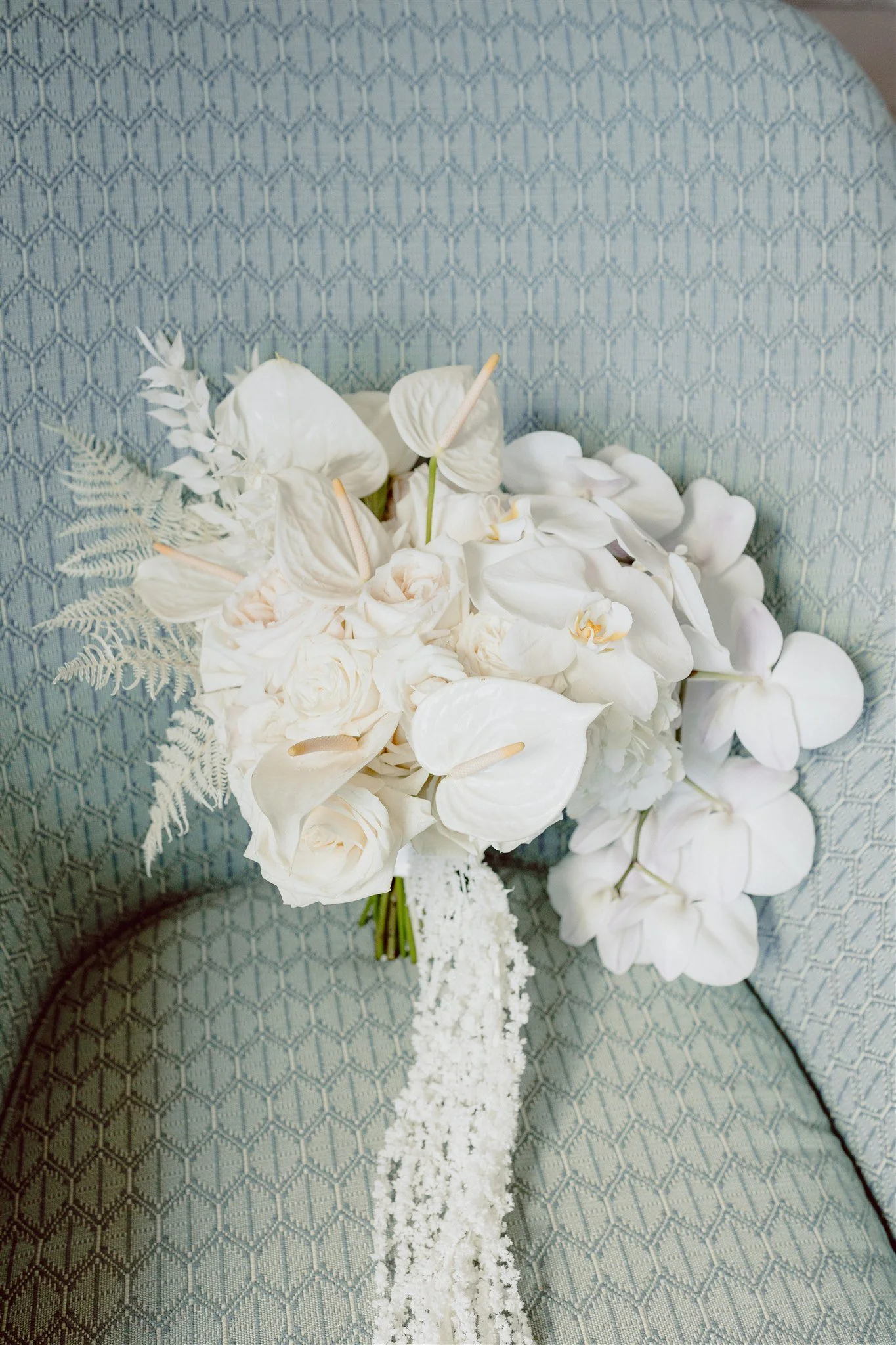 Cassidy-Seth-Wedding-14.jpg