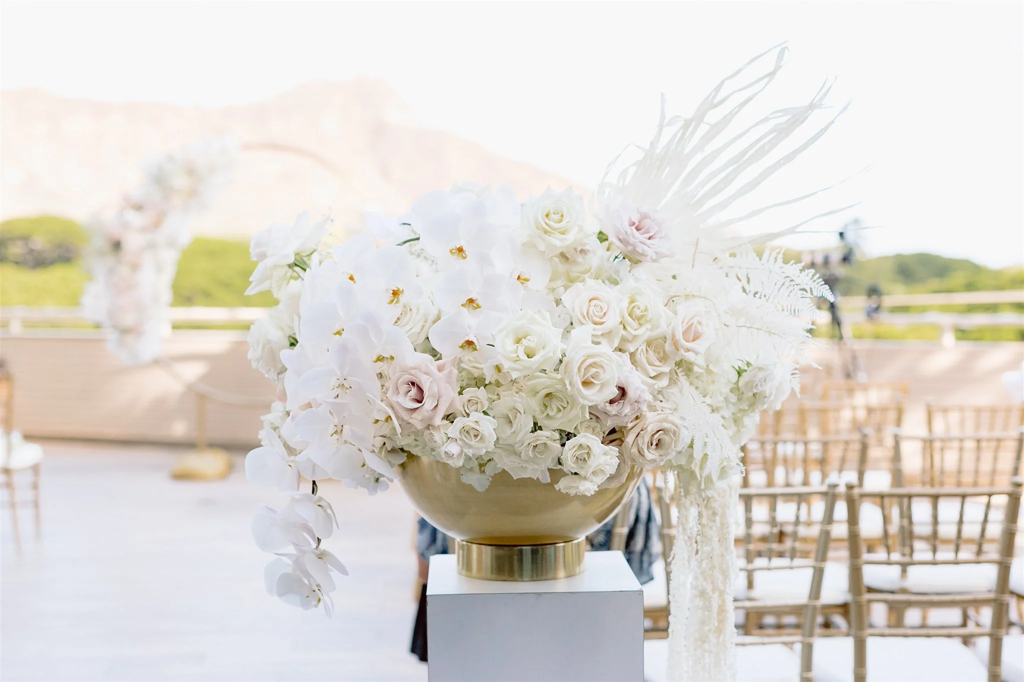 Cassidy-Seth-Wedding-196.jpg