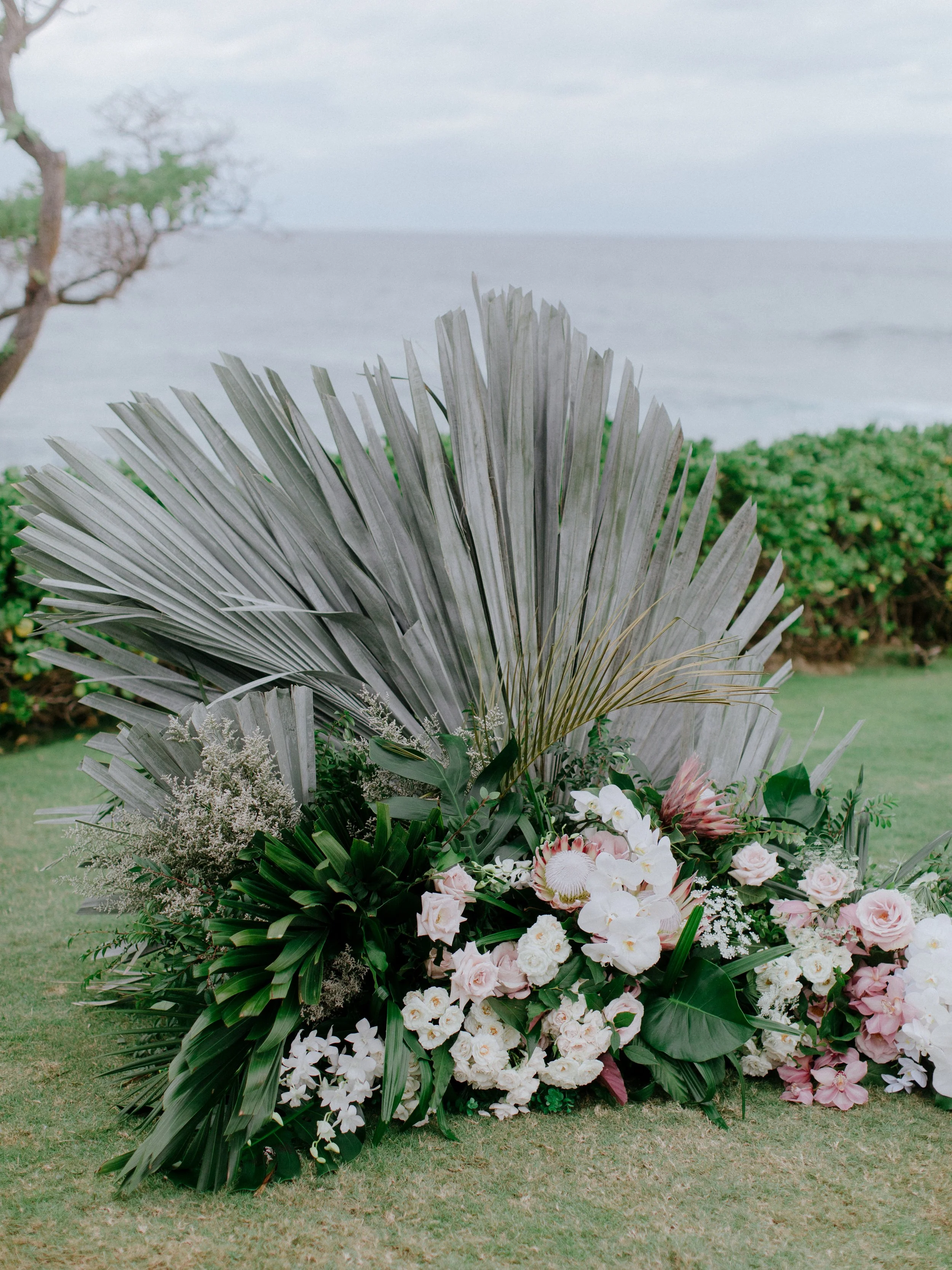 chris-j-evans-Turtle-bay-Oahu-SA5420.jpg