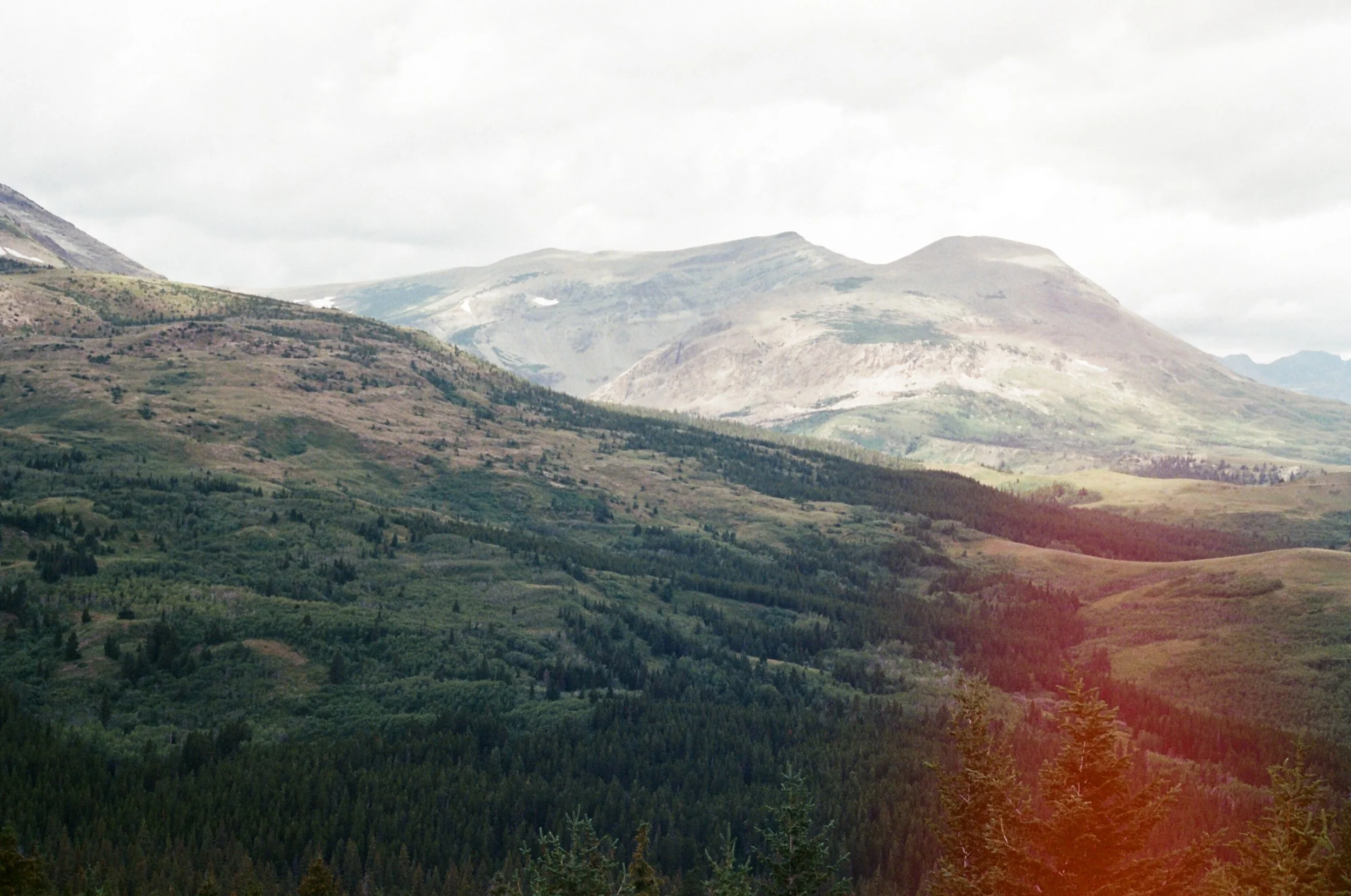 YELLOWSTONE NATIONAL PARK 004