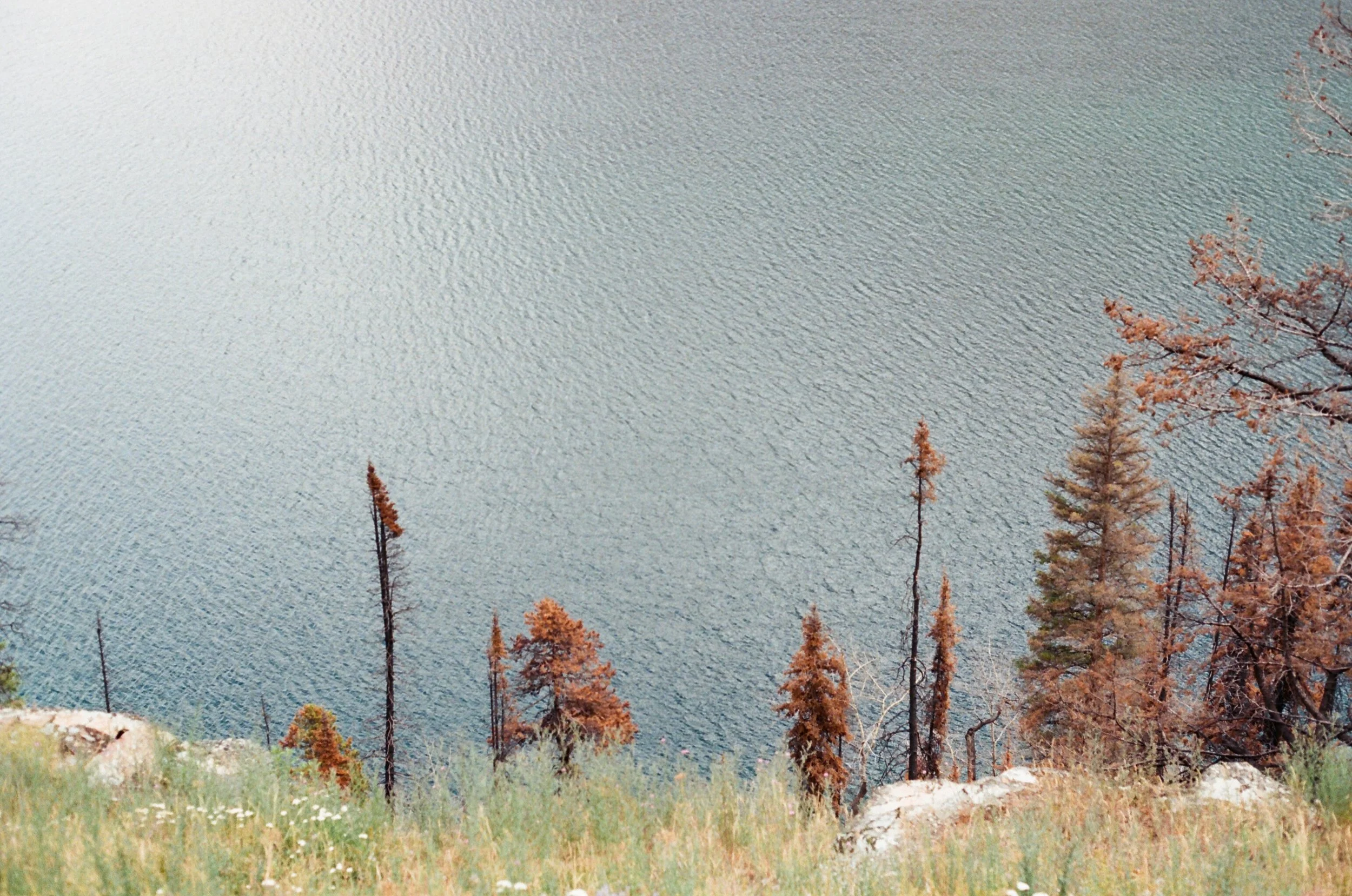 GLACIER NATIONAL PARK 003