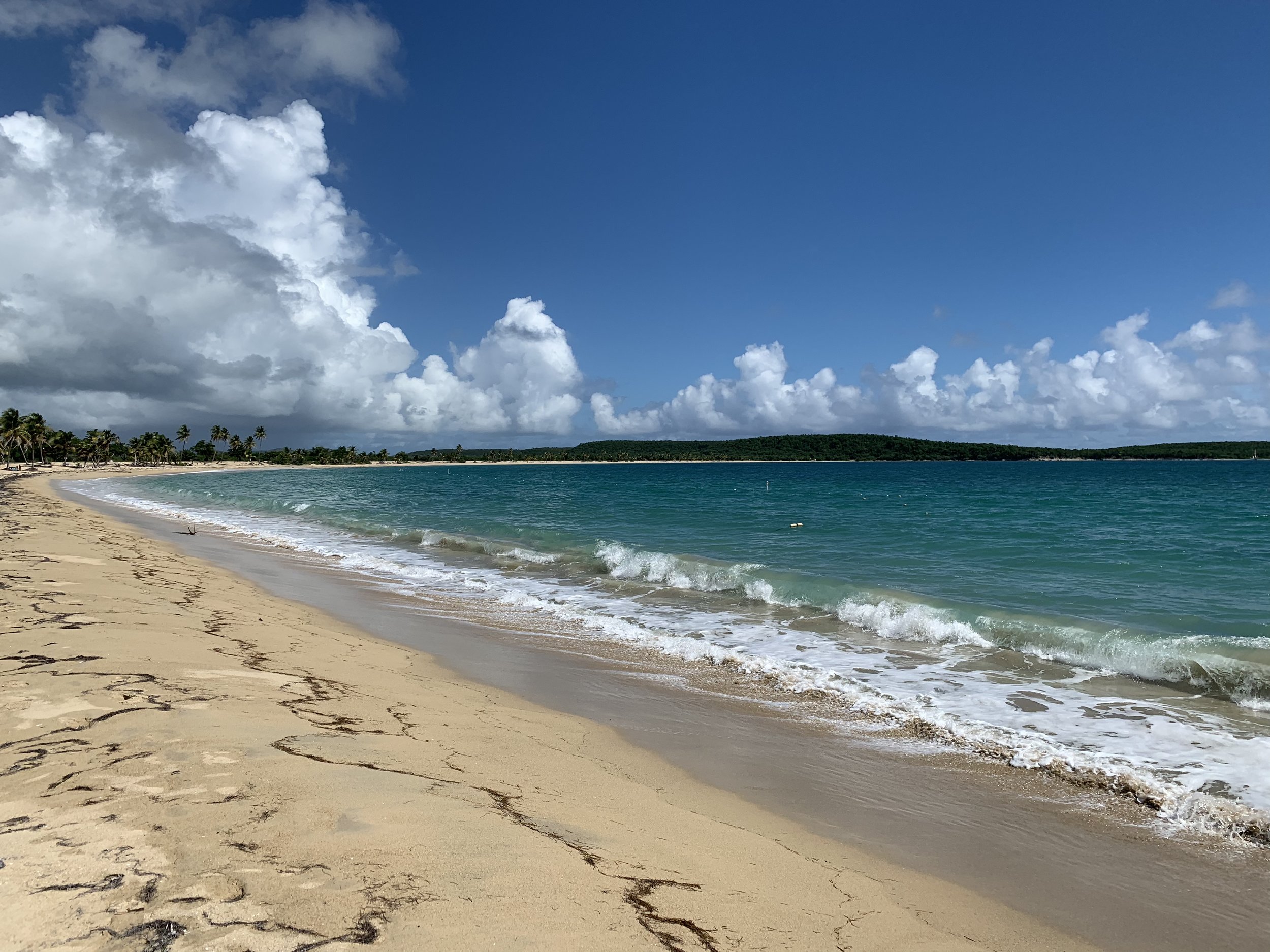 Sun Bay Beach