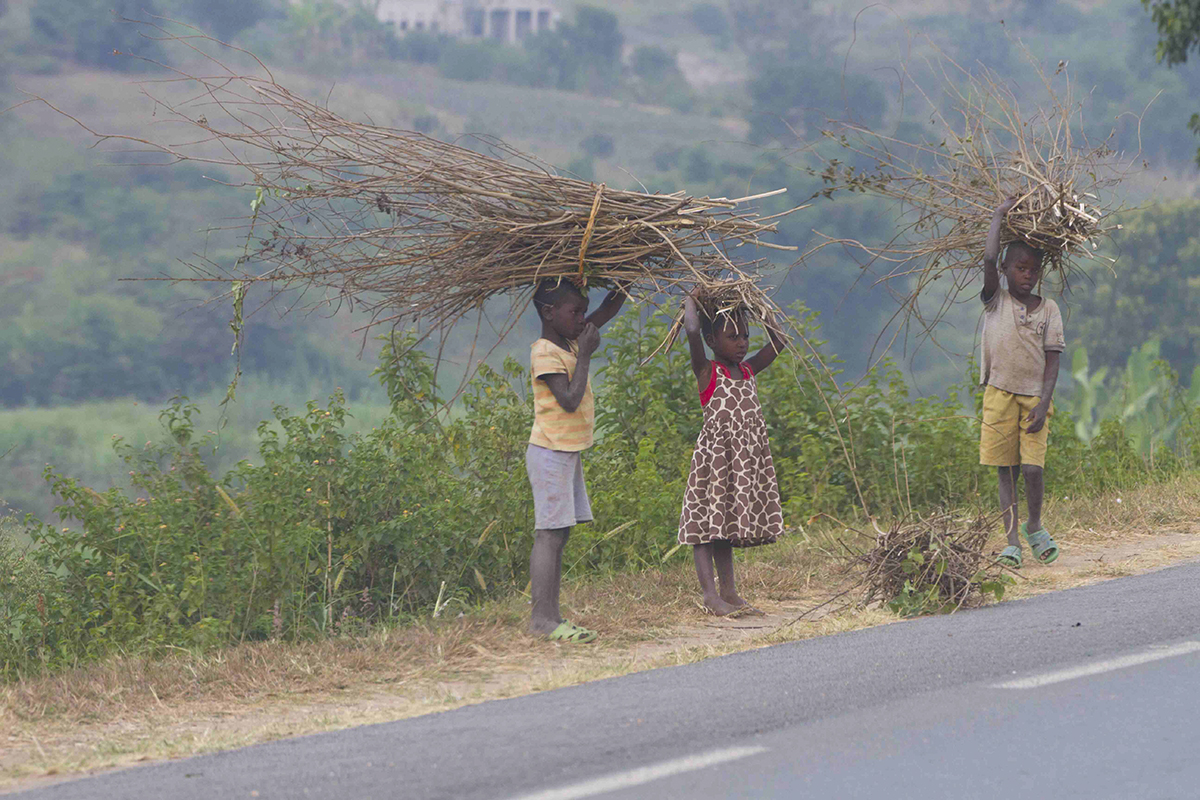 Gathering Firewood