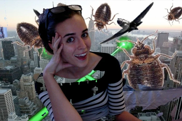 I Have Bed Bugs & You Can Too!