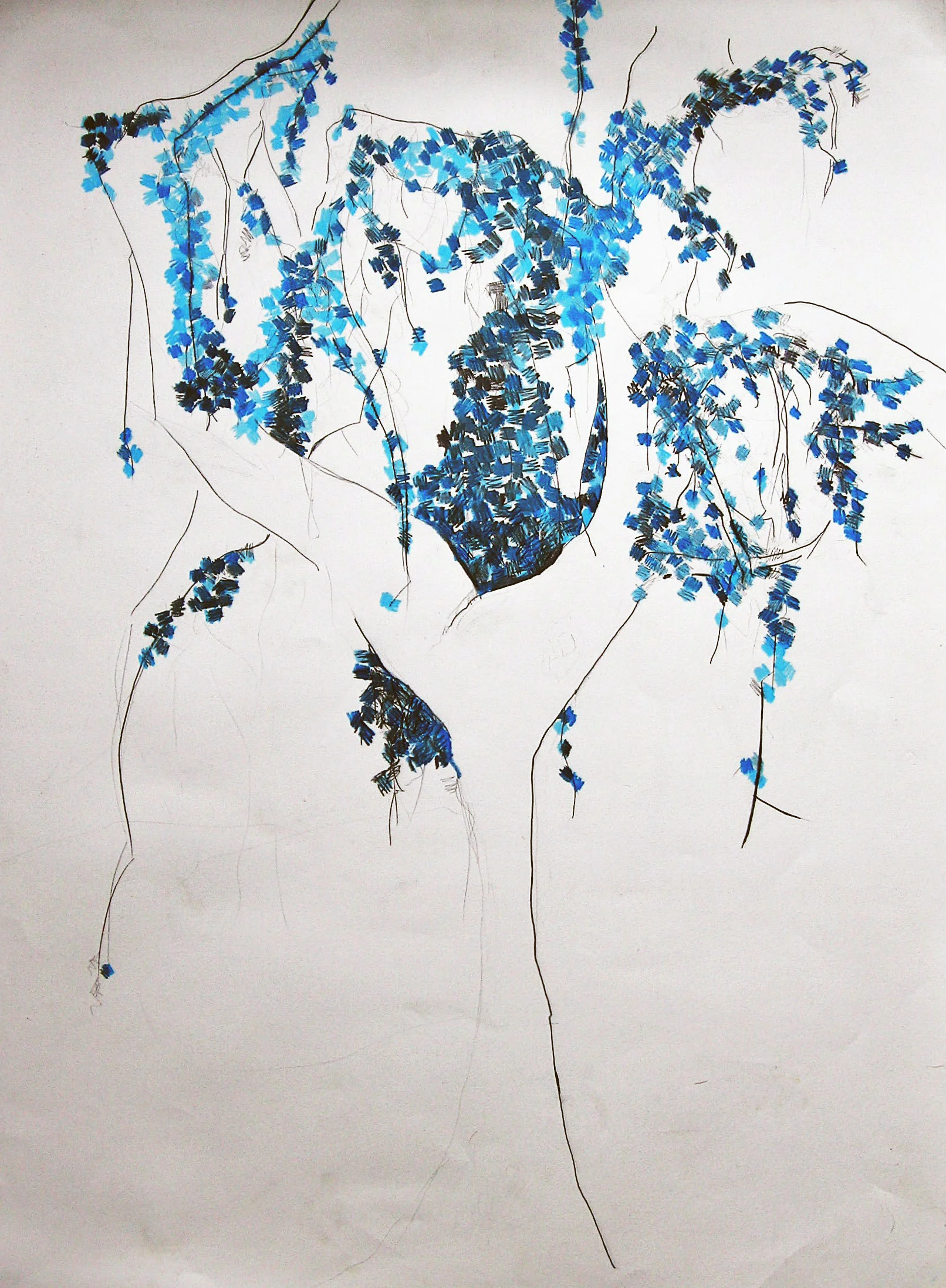 Blue Tree | 2008 | colored pencil