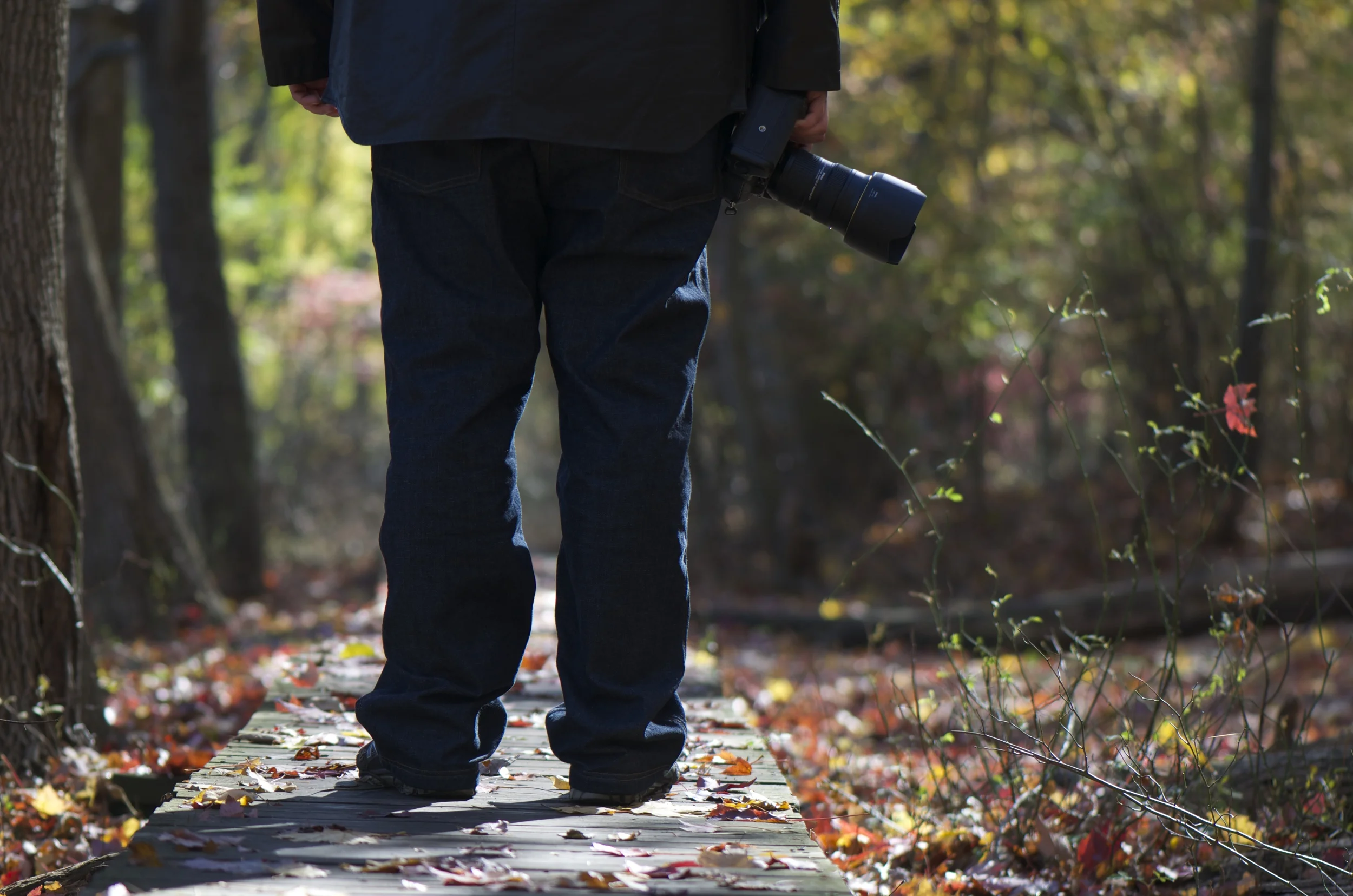 braving the blues :: getting outside