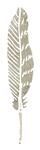 Feather Tall.png