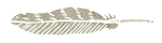 Feather Long.png