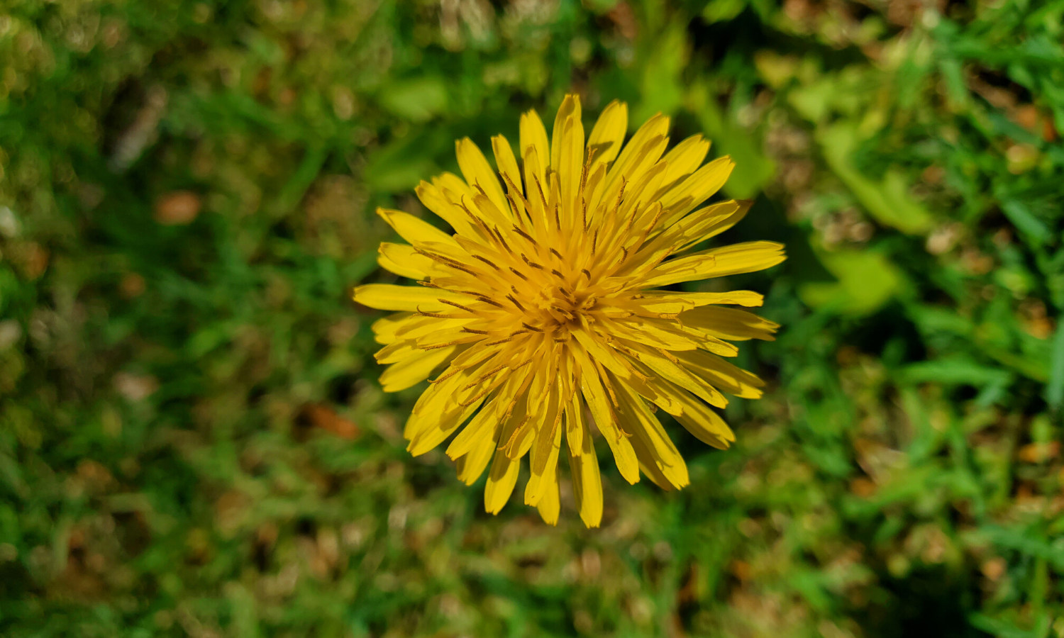 Blog Post Image (11).png