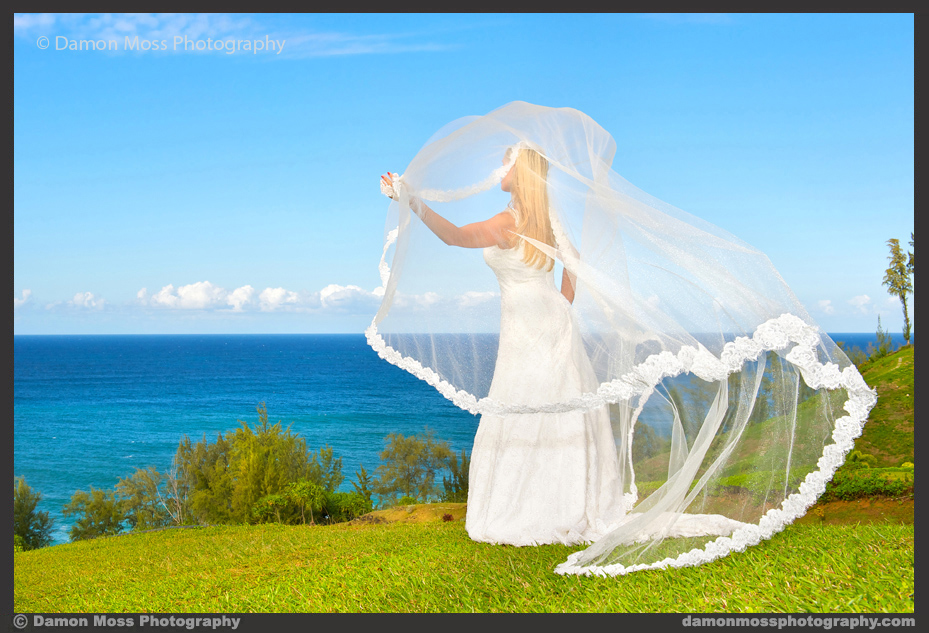 Kauai-Wedding-Photographer-24b-DM.jpg