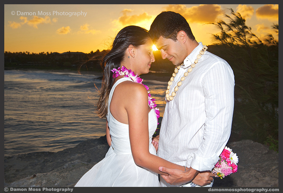 Kauai-Wedding-Photographer-14a-DM.jpg