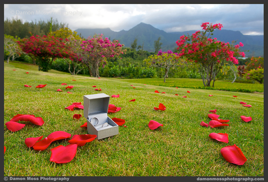 Kauai-Wedding-Photographer-5a-DM.jpg