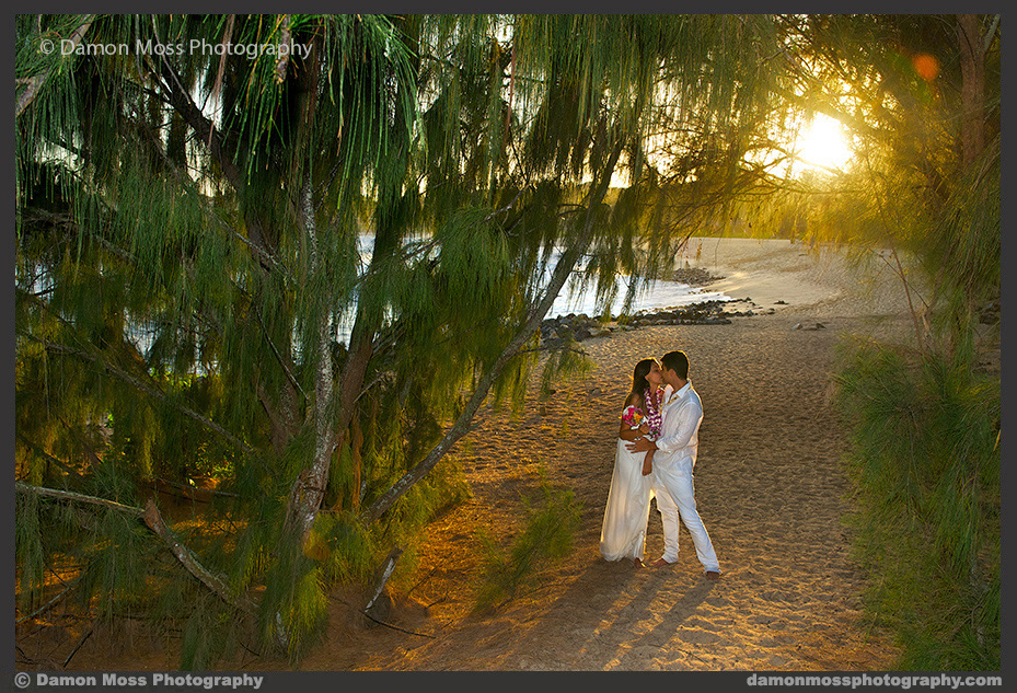 Kauai-Wedding-Photographer-17a-DM.jpg