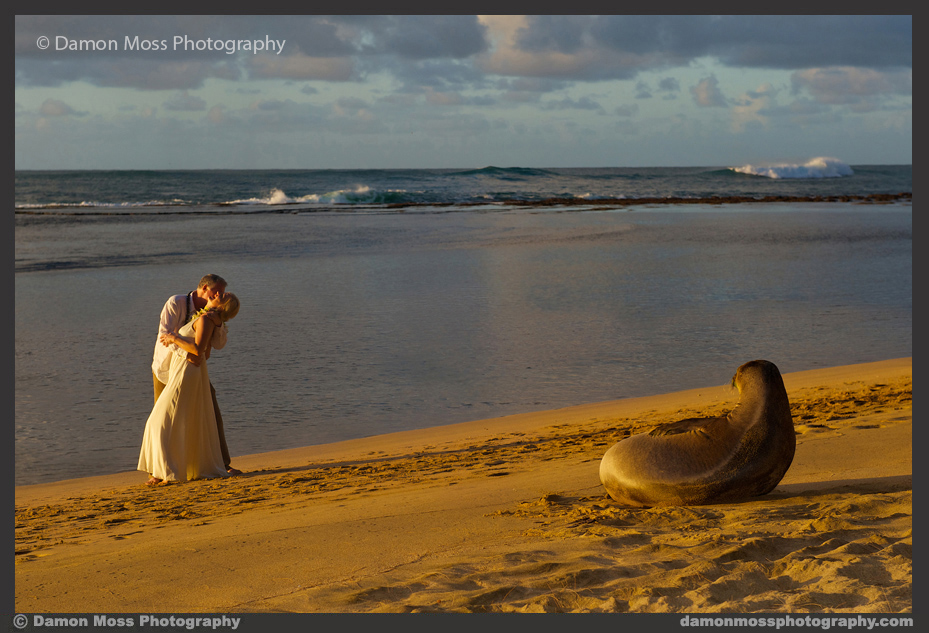 Kauai-Wedding-Photographer-14-DM.jpg