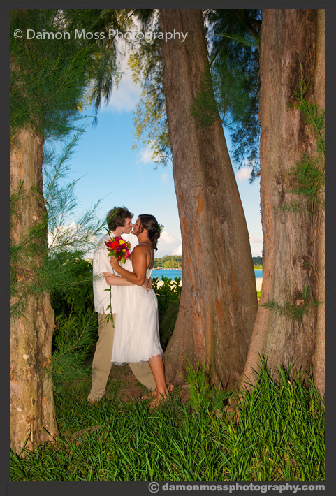 Kauai-Wedding-Photographer-17-DM.jpg