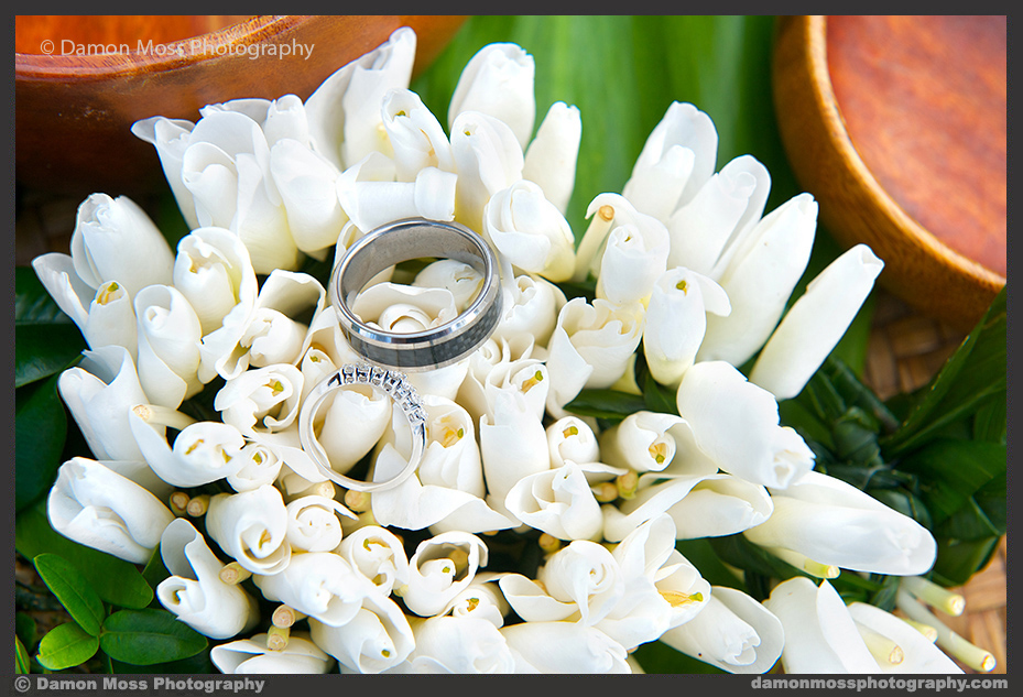 Kauai-Wedding-Photographer-19-DM.jpg