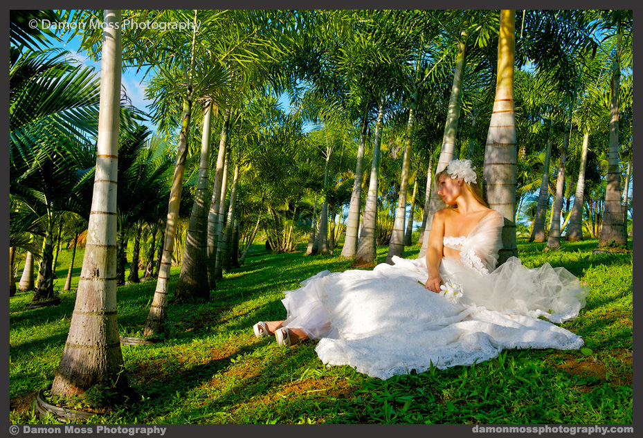 Kauai-Wedding-Photographer-3f-DM.jpg