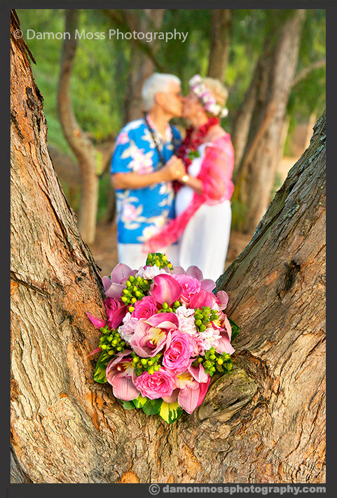 Kauai-Wedding-Photographer-18b-DM.jpg