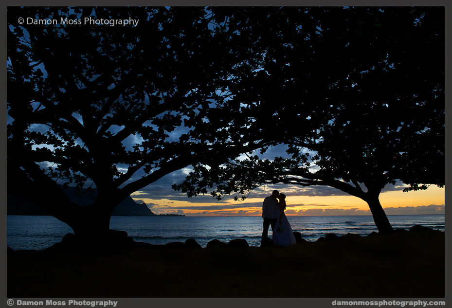 Kauai-Wedding-Photographer-21b-DM.jpg