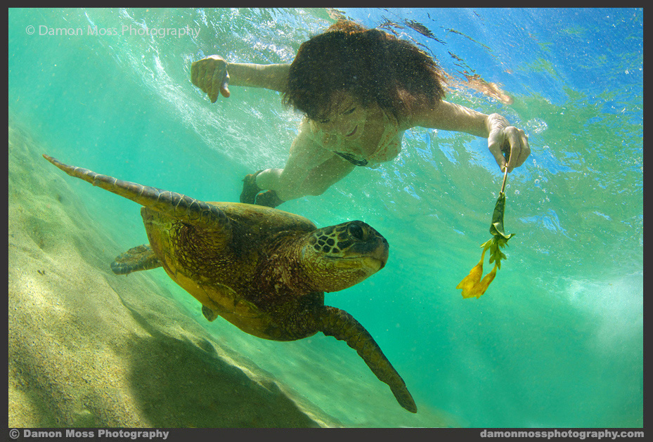 Kauai-Portrait-Photographer-11-DM.jpg