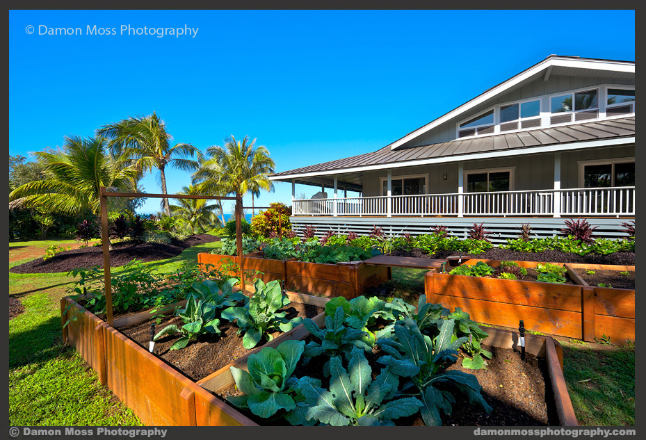 Hawaii-Architecture-Photographer-3d-DM.jpg