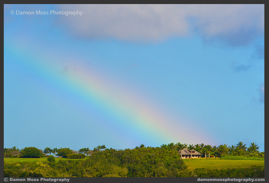 Hawaii-Architecture-Photographer-7-DM.jpg