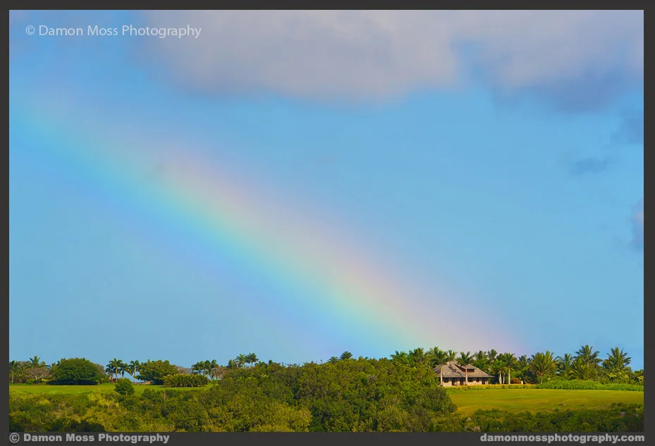 Hawaii-Architecture-Photographer-7-DM.jpg