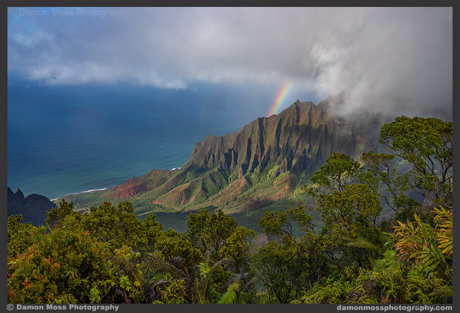 kauai-photography-tours-1-dm.jpg