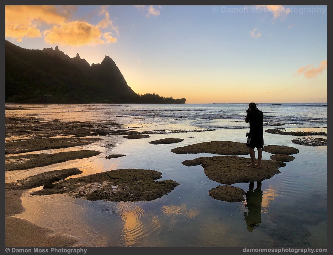 kauai-photography-tours-4-dm.jpg