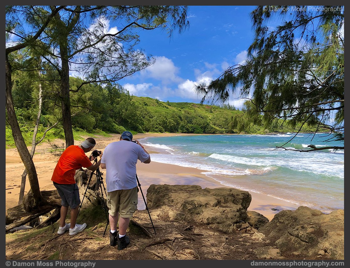 kauai-photography-tours-5-dm.jpg