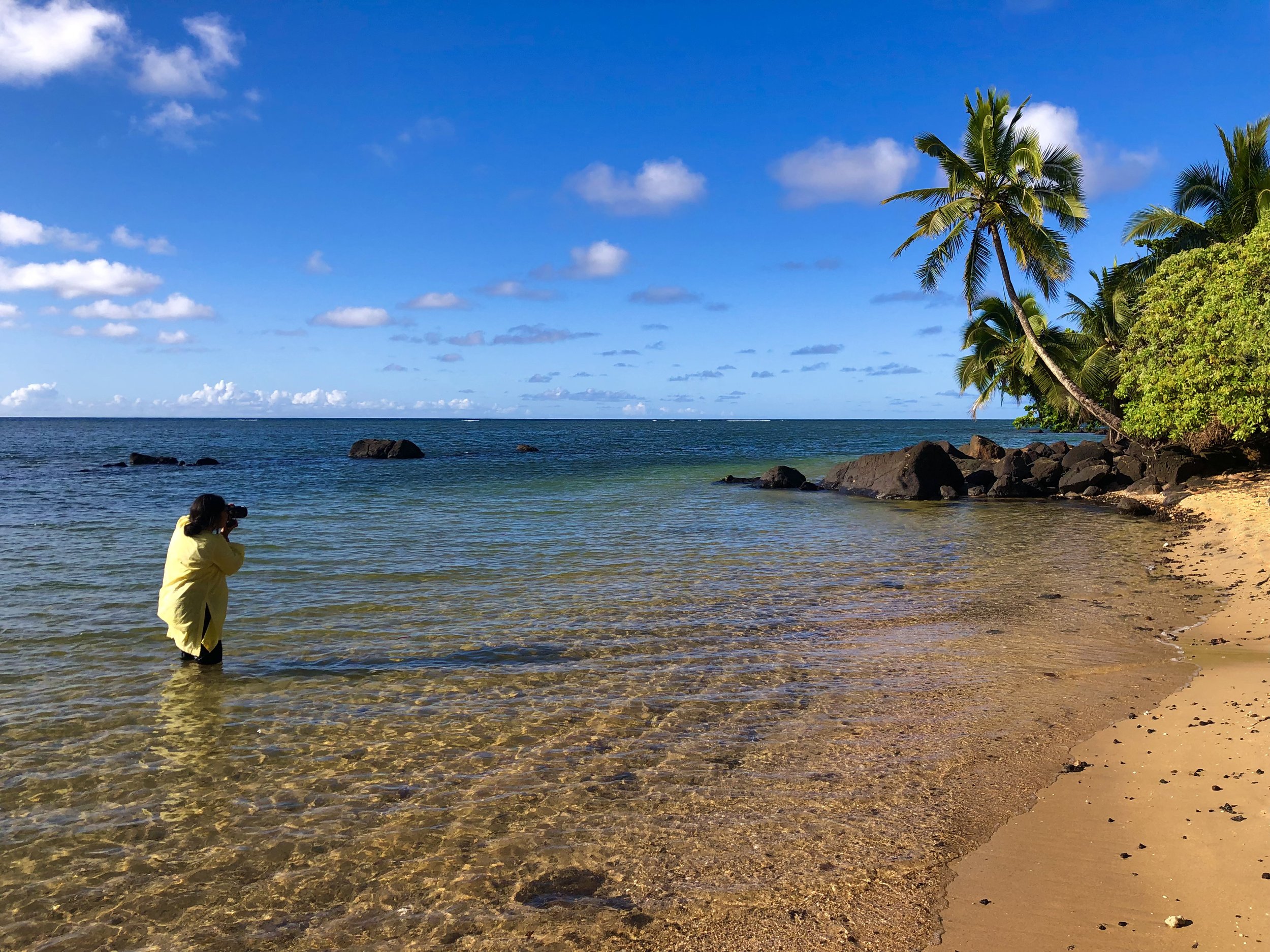 kauai-photography-tours-8-dm.jpg