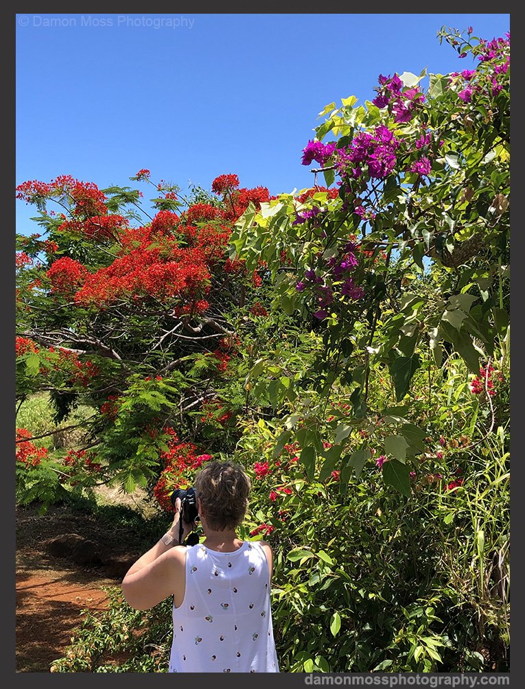 kauai-photography-tours-17-dm.jpg