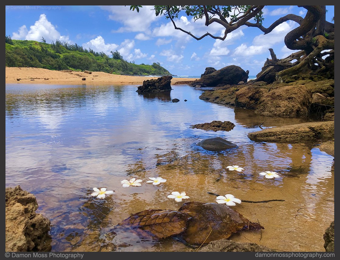 kauai-photography-tours-23-dm.jpg