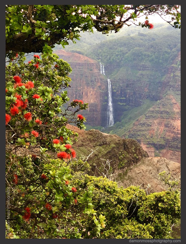 kauai-photography-tours-24-dm.jpg