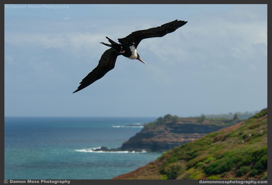 kauai-photography-tours-25-dm.jpg