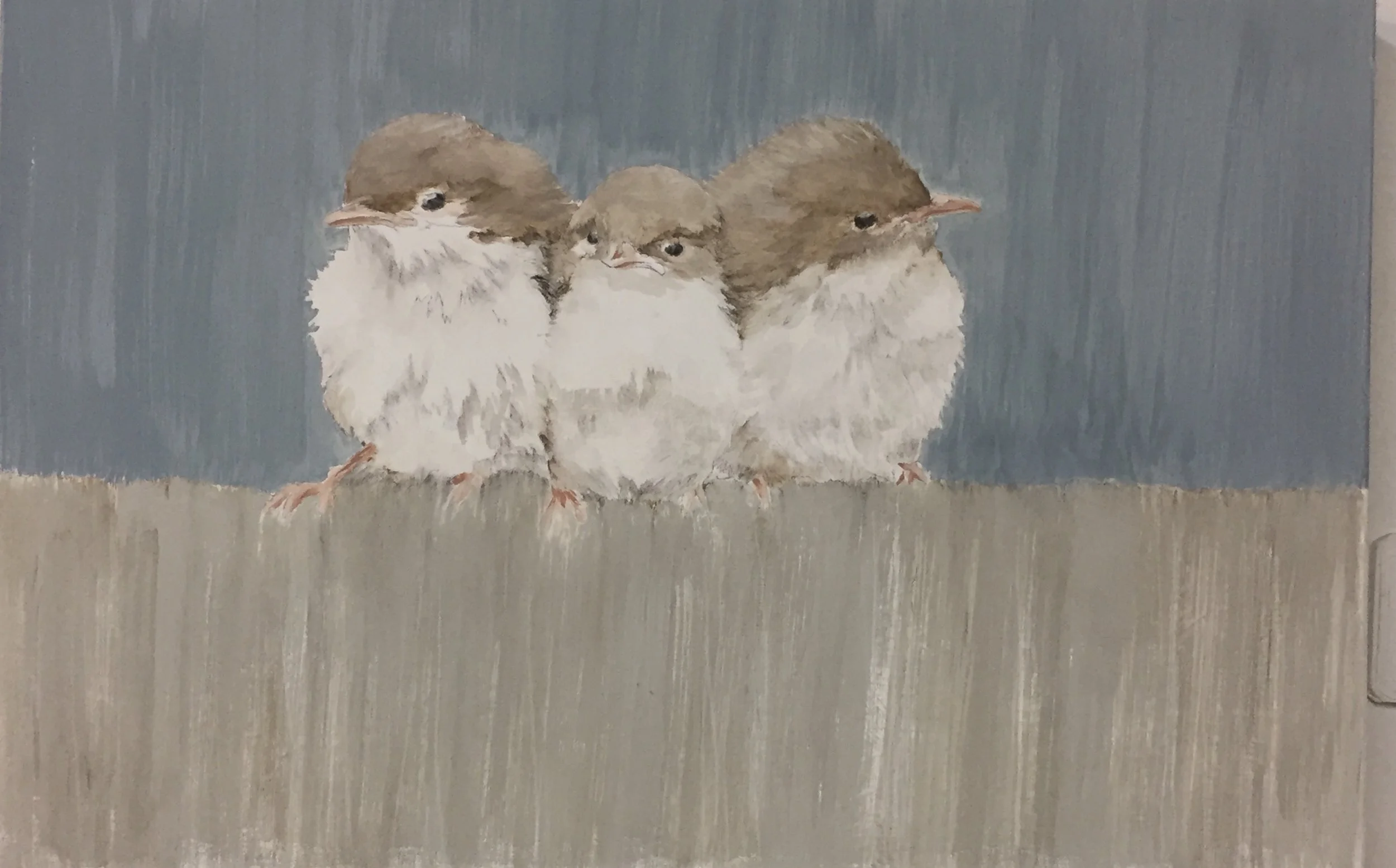 3Birds