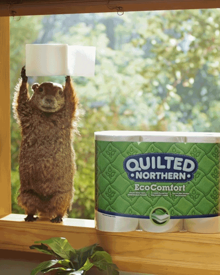 NFA_15_Marmots_Cinemagraph-2.gif