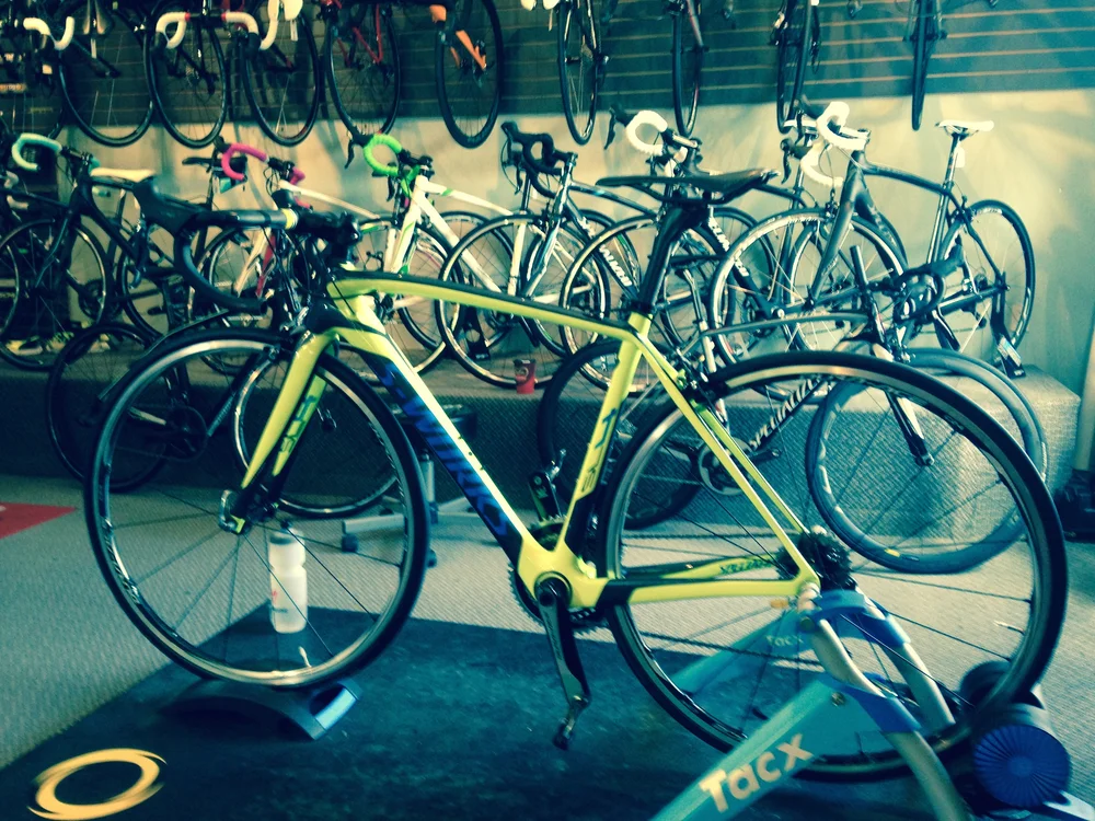 Bikes & Equipment — Go Cycle Collingwood