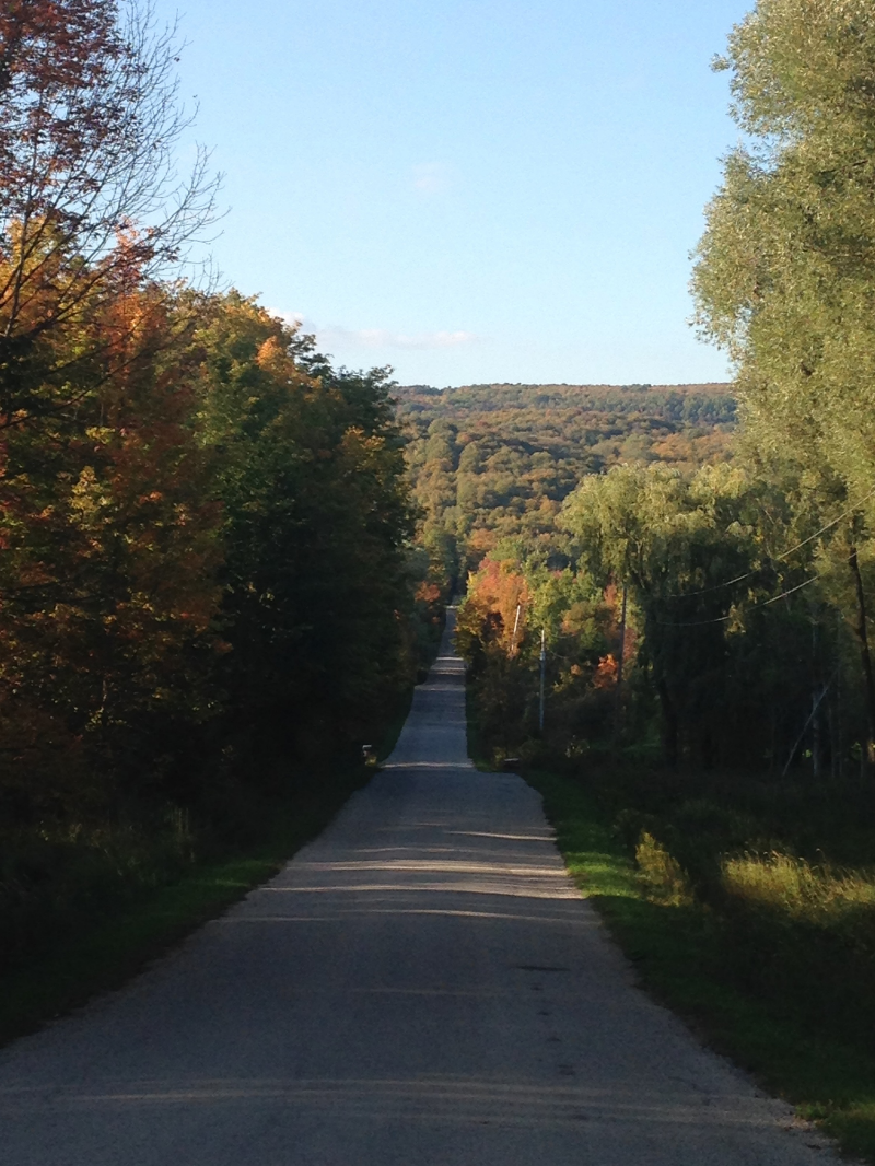 Looking north at the mid point of the Pretty River Valley Climb. 