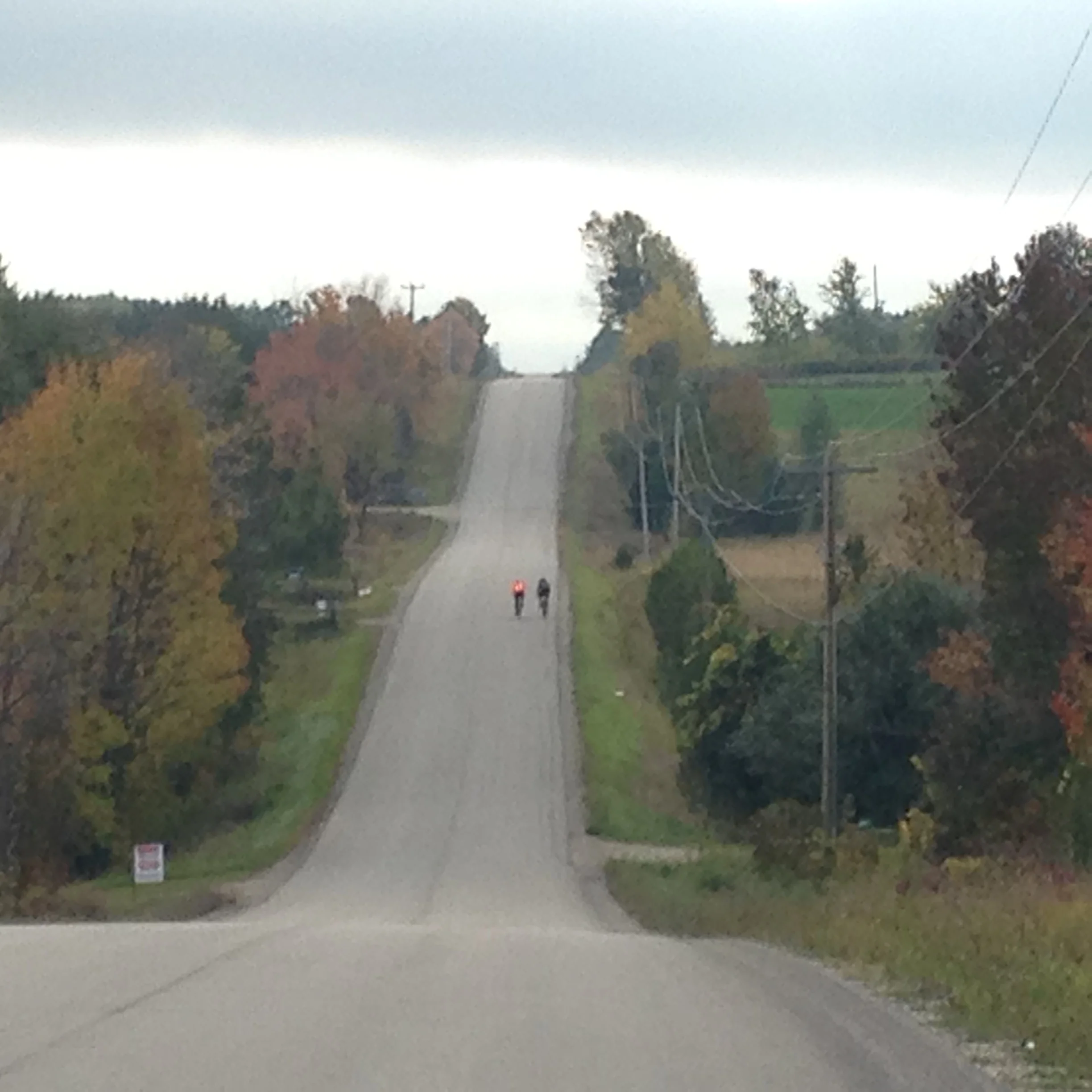 Looking south on Concession Road 6, 7km from Creemore