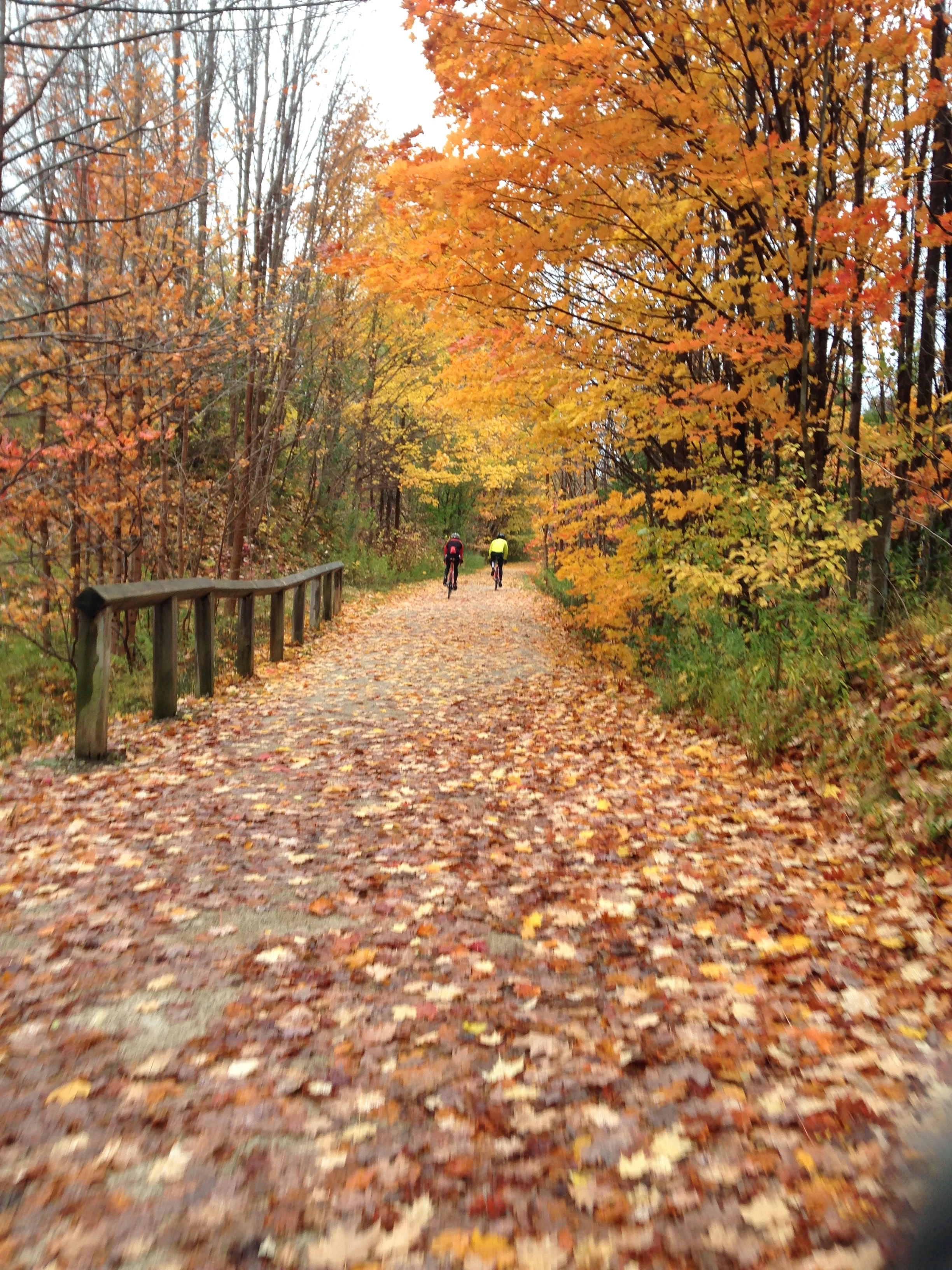 Georgian Trail, just outside of Meaford.